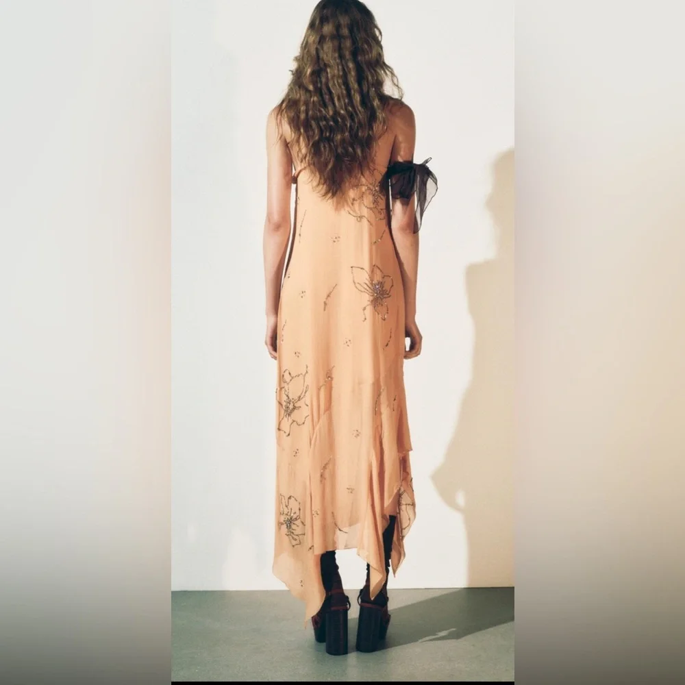 Zara ZW collection embroidered beaded dress - Picture 6 of 15